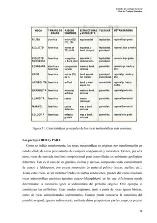 Cátedra de Geología General
Guía de Trabajos Prácticos

Figura 31. Carecteristicas principales de las rocas metamórficas más comunes.

Los prefijos ORTO y PARA
Como se indicó anteriormente, las rocas metamórficas se originan por transformación en
estado sólido de rocas preexistentes de cualquier composición y naturaleza. Existen, por otra
parte, rocas de marcada similitud composicional pero desarrolladas en ambientes geológicos
diferentes. Este es el caso de los granitos, riolitas y arcosas, compuestas todas esencialmente
de cuarzo y feldespatos, con escasa proporción de material pelítico (micas, arcillas, etc.).
Todas estas rocas, al ser metamorfizadas en ciertas condiciones, pueden dar como resultado
rocas metamórficas gneísicas (gneises cuarzo-feldespáticos) en las que difícilmente puede
determinarse la naturaleza ígnea o sedimentaria del protolito original. Otro ejemplo lo
constituyen las anfibolitas. Estas pueden originarse, tanto a partir de rocas ígneas básicas,
como de rocas calcosilicatadas sedimentarias. Cuando puede conocerse la naturaleza del
protolito original, ígneo o sedimentario, mediante datos geoquímicos y/o de campo, es preciso

74

 