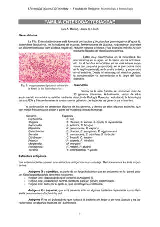 Apunte enterobacterias