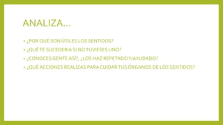ANALIZA…
• ¿POR QUÉ SON ÚTILES LOS SENTIDOS?
• ¿QUÉTE SUCEDERIA SI NOTUVIESES UNO?
• ¿CONOCES GENTE ASÍ?, ¿LOS HAZ REPETADOY/AYUDADO?
• ¿QUÉ ACCIONES REALIZAS PARA CUIDARTUS ÓRGANOS DE LOS SENTIDOS?
 