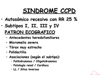 SINDROME CCPD <ul><li>Autosómico recesivo con RR 25 % </li></ul><ul><li>Subtipos I, II, III y IV </li></ul><ul><li>PATRON ...