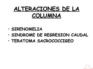 ALTERACIONES DE LA COLUMNA <ul><li>SIRENOMELIA </li></ul><ul><li>SINDROME DE REGRESION CAUDAL </li></ul><ul><li>TERATOMA S...