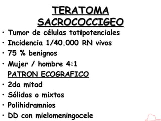 TERATOMA SACROCOCCIGEO <ul><li>Tumor de células totipotenciales </li></ul><ul><li>Incidencia 1/40.000 RN vivos </li></ul><...