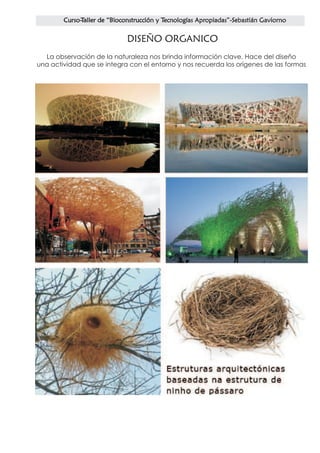 DISEÑO ORGANICO
  La observación de la naturaleza nos brinda información clave. Hace del diseño
una actividad que se integra con el entorno y nos recuerda los orígenes de las formas
 