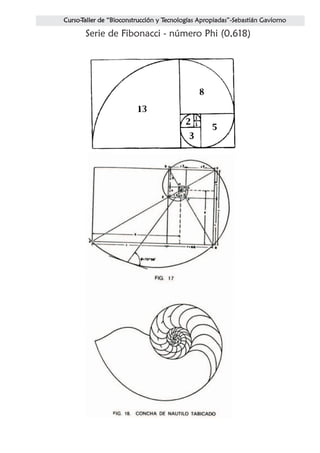 Serie de Fibonacci - número Phi (0,618)
 