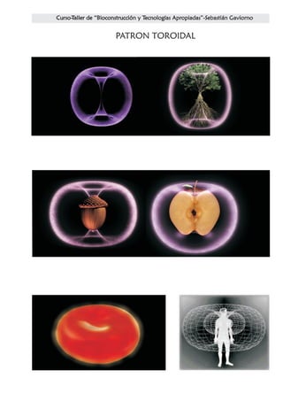 PATRON TOROIDAL
 