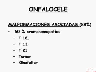 ONFALOCELE MALFORMACIONES ASOCIADAS  (88%) 60 % cromosomopatías T 18   T 13 T 21 Turner Klinefelter 