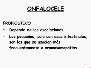 ONFALOCELE PRONOSTICO Depende de las asociaciones Los pequeños, solo con asas intestinales, son los que se asocian más frecuentemente a cromosomopatías 