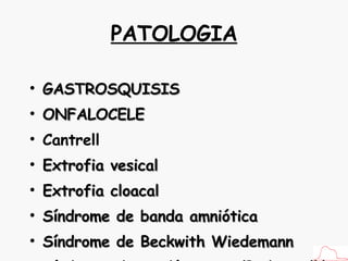 GASTROSQUISIS ONFALOCELE Cantrell Extrofia vesical Extrofia cloacal Síndrome de banda amniótica Síndrome de Beckwith Wiedemann Síndrome de cordón corto (Body stalk) PATOLOGIA 