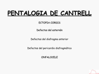 PENTALOGIA DE CANTRELL ECTOPIA CORDIS ONFALOCELE Defectos del esternón Defectos del diafragma anterior Defectos del pericardio diafragmático 