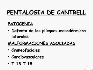 PENTALOGIA DE CANTRELL PATOGENIA Defecto de los pliegues mesodérmicos laterales MALFORMACIONES ASOCIADAS Craneofaciales Cardiovasculares T 13 T 18 