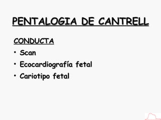 PENTALOGIA DE CANTRELL CONDUCTA Scan Ecocardiografía fetal Cariotipo fetal 