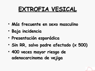 EXTROFIA VESICAL Más frecuente en sexo masculino Baja incidencia Presentación esporádica Sin RR, salvo padre afectado (x 500) 400 veces mayor riesgo de adenocarcinoma de vejiga 