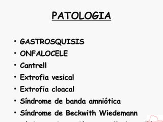 PATOLOGIA GASTROSQUISIS ONFALOCELE Cantrell Extrofia vesical Extrofia cloacal Síndrome de banda amniótica Síndrome de Beckwith Wiedemann Síndrome de cordón corto (Body stalk) 