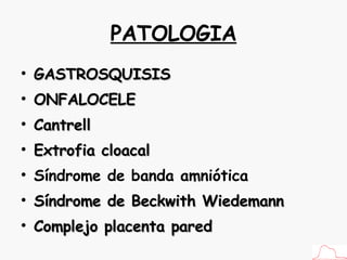 PATOLOGIA GASTROSQUISIS ONFALOCELE Cantrell Extrofia cloacal Síndrome de banda amniótica Síndrome de Beckwith Wiedemann Complejo placenta pared 