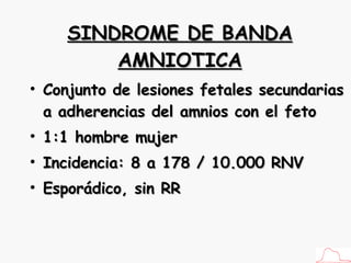 SINDROME DE BANDA AMNIOTICA Conjunto de lesiones fetales secundarias a adherencias del amnios con el feto 1:1 hombre mujer Incidencia: 8 a 178 / 10.000 RNV Esporádico, sin RR 