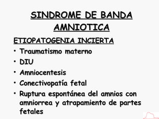 SINDROME DE BANDA AMNIOTICA ETIOPATOGENIA INCIERTA Traumatismo materno DIU Amniocentesis Conectivopatía fetal Ruptura espontánea del amnios con amniorrea y atrapamiento de partes fetales 