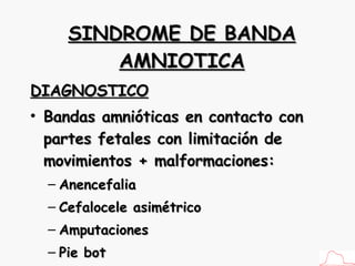 SINDROME DE BANDA AMNIOTICA DIAGNOSTICO Bandas amnióticas en contacto con partes fetales con limitación de movimientos + malformaciones: Anencefalia Cefalocele asimétrico Amputaciones  Pie bot 
