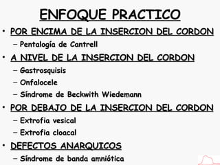 ENFOQUE PRACTICO POR ENCIMA DE LA INSERCION DEL CORDON Pentalogía de Cantrell A NIVEL DE LA INSERCION DEL CORDON Gastrosquisis Onfalocele Síndrome de Beckwith Wiedemann POR DEBAJO DE LA INSERCION DEL CORDON Extrofia vesical Extrofia cloacal DEFECTOS ANARQUICOS Síndrome de banda amniótica  Body stalk 