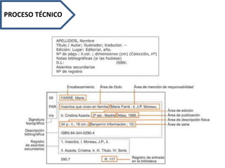 PROCESO TÉCNICO
 