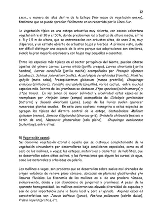 12
s.n.m., a manera de islas dentro de la Estepa (Ver mapa de vegetación anexo),
fenómeno que se puede apreciar fácilmente en un recorrido por la Línea Sur.
La vegetación típica es una estepa arbustiva muy abierta, con escasa cobertura
vegetal entre el 30 y el 50%, donde predominan los arbustos de altura media, entre
o, 5 y 1,5 m de altura, que se entremezclan con arbustos altos, de unos 2 m, muy
dispersos, y un estrato abierto de arbustos bajos y hierbas A primera vista, suele
ser difícil distinguir una especie de la otra porque sus adaptaciones son similares,
siendo la gran mayoría espinosos y con hojas muy pequeñas o ausentes.
Entre las especies más típicas en el sector patagónico del Monte, pueden citarse
aquellas del género Larrea: Larrea nitida (jarilla crespa), Larrea divaricata (jarilla
hembra), Larrea cuneifolia (jarilla macho) acompañadas por Prosopis alpataco
(alpataco), Schinus johonstonii (molle), Acantolippia seriphioides (tomillo), Monttea
aphylla (mata sebo), Prosopidastrum globosum (manca protrillo), Chuquiraga
erinacea (chilladora), Condalia microphylla (piquillín), varios cactus, entre muchas
especies más. Dentro de las gramíneas se destacan Stipa speciosa (coirón amargo) y
Stipa tenuis. En las zonas de mayor salinidad y alcalinidad estas especies se
reemplazan por Atriplex lampa (zampa) acompañada de Ciclolepis genistoides
(matorro) y Suaeda divaricata (jume). Luego de las lluvias suelen aparecer
numerosas plantas anuales. En esta zona ecotonal rionegrina a estas especies se
agregan las típicas del distrito central de la estepa, destacándose Mulinum
spinosum (neneo), Senecio filaginoides (charcao gris), Grindelia chiloensis (melosa o
botón de oro), Nassauvia glomerulosa (cola piche), Chuquiraga avellanedae
(quilembay), entre otras.
5) Vegetación azonal:
Se denomina vegetación azonal a aquella que se distingue completamente de la
vegetación circundante por desarrollarse bajo condiciones especiales, como es el
caso de los mallines, o vegas; las estepas, matorrales o desiertos de halófitas, que
se desarrollan sobre sitios salinos; y las formaciones que siguen los cursos de agua,
como los matorrales y arboledas en galería.
Los mallines o vegas, son praderas que se desarrollan sobre suelos mal drenados de
origen volcánico de relieve plano cóncavo, ubicados en planicies glacifluviales y/o
llanuras fluviales. La fisonomía de los mallines es el de una pradera húmeda,
siempreverde, densa y con abundancia de junquillos y gramíneas. A pesar de la
aparente homogeneidad, los mallines encierran una elevada diversidad de especies y
son de gran importancia para la fauna local y para el ganado. Algunas especies
características son Juncus balticus (junco), Festuca pallescens (coirón dulce),
Pratia repens (pratia), etc.
 