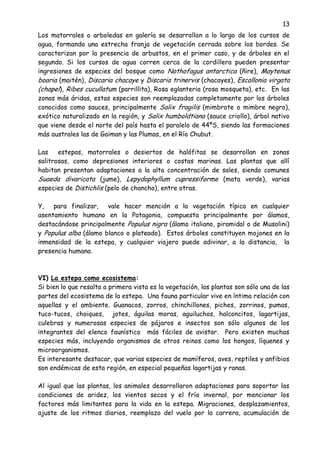 13
Los matorrales o arboledas en galería se desarrollan a lo largo de los cursos de
agua, formando una estrecha franja de vegetación cerrada sobre los bordes. Se
caracterizan por la presencia de arbustos, en el primer caso, y de árboles en el
segundo. Si los cursos de agua corren cerca de la cordillera pueden presentar
ingresiones de especies del bosque como Nothofagus antarctica (ñire), Maytenus
boaria (maitén), Discaria chacaye y Discaria trinervis (chacayes), Escallonia virgata
(chapel), Ribes cucullatum (parrillita), Rosa eglanteria (rosa mosqueta), etc. En las
zonas más áridas, estas especies son reemplazadas completamente por los árboles
conocidos como sauces, principalmente Salix fragilis (mimbrote o mimbre negro),
exótico naturalizado en la región, y Salix humboldtiana (sauce criollo), árbol nativo
que viene desde el norte del país hasta el paralelo de 44ºS, siendo las formaciones
más australes las de Gaiman y las Plumas, en el Río Chubut.
Las estepas, matorrales o desiertos de halófitas se desarrollan en zonas
salitrosas, como depresiones interiores o costas marinas. Las plantas que allí
habitan presentan adaptaciones a la alta concentración de sales, siendo comunes
Suaeda divaricata (jume), Lepydophyllum cupressiforme (mata verde), varias
especies de Distichlis (pelo de chancho), entre otras.
Y, para finalizar, vale hacer mención a la vegetación típica en cualquier
asentamiento humano en la Patagonia, compuesta principalmente por álamos,
destacándose principalmente Populus nigra (álamo italiano, piramidal o de Musolini)
y Populus alba (álamo blanco o plateado). Estos árboles constituyen mojones en la
inmensidad de la estepa, y cualquier viajero puede adivinar, a la distancia, la
presencia humana.
VI) La estepa como ecosistema:
Si bien lo que resalta a primera vista es la vegetación, las plantas son sólo una de las
partes del ecosistema de la estepa. Una fauna particular vive en íntima relación con
aquellas y el ambiente. Guanacos, zorros, chinchillones, piches, zorrinos, pumas,
tuco-tucos, choiques, jotes, águilas moras, aguiluchos, halconcitos, lagartijas,
culebras y numerosas especies de pájaros e insectos son sólo algunos de los
integrantes del elenco faunístico más fáciles de avistar. Pero existen muchas
especies más, incluyendo organismos de otros reinos como los hongos, líquenes y
microorganismos.
Es interesante destacar, que varias especies de mamíferos, aves, reptiles y anfibios
son endémicas de esta región, en especial pequeñas lagartijas y ranas.
Al igual que las plantas, los animales desarrollaron adaptaciones para soportar las
condiciones de aridez, los vientos secos y el frío invernal, por mencionar los
factores más limitantes para la vida en la estepa. Migraciones, desplazamientos,
ajuste de los ritmos diarios, reemplazo del vuelo por la carrera, acumulación de
 