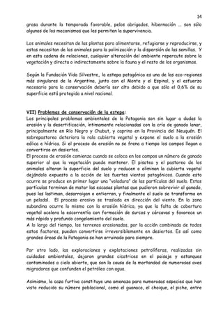 14
grasa durante la temporada favorable, pelos abrigados, hibernación ... son sólo
algunos de los mecanismos que les permiten la supervivencia.
Los animales necesitan de las plantas para alimentarse, refugiarse y reproducirse, y
estas necesitan de los animales para la polinización y la dispersión de las semillas. Y
en esta cadena de relaciones, cualquier alteración del ambiente repercute sobre la
vegetación y directa o indirectamente sobre la fauna y el resto de los organismos.
Según la Fundación Vida Silvestre, la estepa patagónica es una de las eco-regiones
más singulares de la Argentina, junto con el Monte y el Espinal, y el esfuerzo
necesario para la conservación debería ser alto debido a que sólo el 0,6% de su
superficie está protegida a nivel nacional.
VII) Problemas de conservación de la estepa:
Los principales problemas ambientales de la Patagonia son sin lugar a dudas la
erosión y la desertificación, íntimamente relacionadas con la cría de ganado lanar,
principalmente en Río Negro y Chubut, y caprino en la Provincia del Neuquén. El
sobrepastoreo deteriora la rala cubierta vegetal y expone el suelo a la erosión
eólica e hídrica. Si el proceso de erosión no se frena a tiempo los campos llegan a
convertirse en desiertos.
El proceso de erosión comienza cuando se coloca en los campos un número de ganado
superior al que la vegetación puede mantener. El pisoteo y el pastoreo de los
animales alteran la superficie del suelo y reducen o eliminan la cubierta vegetal
dejándolo expuesto a la acción de los fuertes vientos patagónicos. Cuando esto
ocurre se produce en primer lugar una “voladura” de las partículas del suelo. Estas
partículas terminan de matar las escasas plantas que pudieron sobrevivir al ganado,
pues las lastiman, desarraigan o entierran, y finalmente el suelo se transforma en
un peladal. El proceso erosivo se traslada en dirección del viento. En la zona
subandina ocurre lo mismo con la erosión hídrica, ya que la falta de cobertura
vegetal acelera la escorrentía con formación de surcos y cárcavas y favorece un
más rápido y profundo congelamiento del suelo.
A lo largo del tiempo, los terrenos erosionados, por la acción combinada de todos
estos factores, pueden convertirse irreversiblemente en desiertos. Es así como
grandes áreas de la Patagonia se han arruinado para siempre.
Por otro lado, las exploraciones y explotaciones petrolíferas, realizadas sin
cuidados ambientales, dejaron grandes cicatrices en el paisaje y estanques
contaminados a cielo abierto, que son la causa de la mortandad de numerosas aves
migradoras que confunden el petróleo con agua.
Asimismo, la caza furtiva constituye una amenaza para numerosas especies que han
visto reducido su número poblacional, como el guanaco, el choique, el piche, entre
 