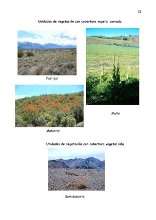 21
Unidades de vegetación con cobertura vegetal cerrada
Pastizal
Mallín
Matorral
Unidades de vegetación con cobertura vegetal rala
Semidesierto
 