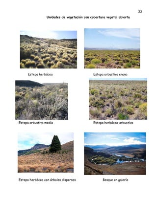 22
Unidades de vegetación con cobertura vegetal abierta
Estepa herbácea Estepa arbustiva enana
Estepa arbustiva media Estepa herbáceo-arbustiva
Estepa herbácea con árboles dispersos Bosque en galería
 