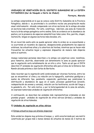 23
UNIDADES DE VEGETACIÓN EN EL DISTRITO SUBANDINO DE LA ESTEPA
PATAGÓNICA (Sur de Neuquén a Norte de Chubut)
Ferreyra, Marcela
La estepa comprendida en lo que se conoce como Distrito Subandino de la Provincia
Patagónica, debido a su proximidad a la cordillera recibe una precipitación media
anual relativamente elevada comparando con otros sectores de la estepa ubicadas
en sectores más orientales. Por esto, constituye, más bien, una zona de transición
hacia la árida estepa patagónica extra-andina. Esto se evidencia en la abundancia de
pastos y en la presencia de especies subantárticas tales como: ñire, parrilla, chapel,
maitencillo, lengas en algunos sectores más elevados, etc.
En un recorrido oeste-este se puede apreciar cómo la aridez se va exacerbando y
va ocurriendo un recambio de especies, desapareciendo gradualmente las especies
arbóreas, las arbustivas altas y la cobertura de hierbas, mientras que se hacen más
frecuentes los arbustos bajos y espinosos dispuestos de manera más dispersa
sobre el sustrato.
Aunque numerosas personas describen a la estepa con adjetivos como: monótona,
poco llamativa, aburrida, observando con detenimiento la zona se puede apreciar
que la vegetación varía notablemente de un sitio a otro. Tanto es así que el INTA
describió 17 unidades de vegetación diferentes sólo para el área de la Estancia San
Ramón ubicada próxima a San Carlos de Bariloche.
Cabe recordar que la vegetación está condicionada por diversos factores, entre los
que se encuentran: el clima y su relación con la topografía, sustratos geológicos y
suelos de diferente tipo, pendiente, exposición, geoformas que condicionan la
distribución y abundancia de agua en el suelo, procesos geomórficos (erosión,
redepositación de arenas y cenizas), relación con los herbívoros, acción del fuego y
la ganadería, etc. Por este motivo, y por la heterogeneidad de la zona de estudio,
se expresan numerosas unidades de vegetación diferentes.
A continuación, se describen las unidades más representativas ordenadas en dos
grandes grupos: unidades de vegetación de sitios xéricos (áridos) y unidades de
vegetación de sitios húmedos.
I) Unidades de vegetación en sitios xéricos
a) Estepa arbustiva baja con árboles dispersos:
Esta unidad se dispone muy próxima al bosque, y está caracterizada por una matríz
constituida por grupos más o menos densos de arbustos de menos de 2 metros de
 