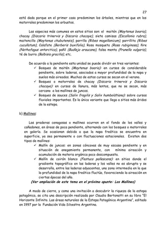 27
está dada porque en el primer caso predominan los árboles, mientras que en los
matorrales predominan los arbustos.
Las especies más comunes en estos sitios son: el maitén (Maytenus boaria),
chacay (Discaria trinervis y Discaria chacaye), siete camisas (Escallonia rubra),
maitencillo (Maytenus chubutensis), parrilla (Ribes magellanicum), parrillita (Ribes
cucullatum), Calafate (Berberis buxifolia), Rosa mosqueta (Rosa rubiginosa), ñire
(Nothofagus antarctica), pañil (Budleja araucana), falsa menta (Prunella vulgaris),
té de burro (Balbisia gracilis), etc.
De acuerdo a la pendiente esta unidad se puede dividir en tres variantes:
 Bosques de maitén (Maytenus boaria): en cursos de considerable
pendiente, sobre laderas, asociados a mayor profundidad de la napa y
suelos más aireados. Muchos de estos cursos se secan en el verano.
 Bosques o matorrales de chacay (Discaria trinervis y Discaria
chacaye): en cursos de llanura, más lentos, que no se secan, más
cercano a los mallines de juncos.
 Bosques de sauces (Salix fragilis y Salix humboldtiana): sobre cursos
fluviales importantes. Es la única variante que llega a sitios más áridos
de la estepa.
b) Mallines:
Las praderas cenagosas o mallines ocurren en el fondo de los valles y
cañadones, en áreas de poca pendiente, alternando con los bosques o matorrales
en galería. Se ocasionan debido a que la napa freática se encuentra en
superficie, ya sea permanente o con fluctuaciones estacionales. Existen dos
tipos de mallines:
 Mallín de juncos: en zonas cóncavas de muy escasa pendiente y en
situación de anegamiento permanente, con mínima aireación y
acumulación de materia orgánica poco descompuesta.
 Mallín de coirón blanco (Festuca pallescens): en sitios donde el
gradiente topográfico en las laderas y los valles no es abrupto y se
desarrolla, entre las laderas adyacentes, una zona intermedia en la que
la profundidad de la napa freática fluctúa, favoreciendo la aireación en
ciertas épocas del año.
(Ver ampliación de este tema en el próximo apunte: Los Mallines)
A modo de cierre, y como una invitación a descubrir la riqueza de la estepa
patagónica, se cita una descripción realizada por Claudio Bertonatti en su libro “El
Horizonte Infinito. Las áreas naturales de la Estepa Patagónica Argentina”, editado
en 1997 por la Fundación Vida Silvestre Argentina.
 
