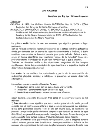 29
LOS MALLINES
Compilado por Ing Agr. Silvana Alzogaray
Tomado de:
CASSOLA, A. 1988. Los Mallines. Revista PRESENCIA Nro 16. INTA – EEAA
Bariloche. San Carlos de Bariloche. Río Negro. Argentina.
MARCOLÍN, A. DURADOÑA, G. ORTIZ, R.. SOURROVILLE, E. LATOUR. M.CC
LARRAMA,G. S/F. Caracterización de mallines en un área del sudoeste de la
Provincia de Río Negro. Documento interno. INTA – EEAA Bariloche. San
Carlos de Bariloche. Río Negro. Argentina.
La palabra mallín deriva de una voz araucana que significa pantano o lugar
pantanoso.
Son los relieves normales o ligeramente cóncavos de la estepa semiárida patagónica
donde, por contarse con un aporte de agua de escurrimiento o freática, el suelo
mantiene tenores altos de humedad durante gran parte del año. Debido a esto,
crece en forma espontánea una vegetación “amiga de la humedad” (higrófila),
preferentemente herbácea y de mejor valor forrajero que la que la circunda.
También se denomina mallín a las depresiones anegadizas de los bosques
cordilleranos, donde las proximidades del agua freática a la superficie impide el
desarrollo de las especies arbóreas.
Los suelos de los mallines han evolucionado a partir de la superposición de
sedimentos glaciales, aluviales y volcánicos y presentan un escaso desarrollo
edafogénico.
Los mallines pueden presentar diferentes formas:
 Compactos: por lo común son los que rodean a una vertiente.
 Alargados: generalmente siguen un cauce de agua.
 Dentríticos o ramificados: rodean un cauce con afluentes.
Según Boelcke, es posible diferenciar tres zonas en la cobertura vegetal de los
mallines:
1) Zona Central: esto no significa que sea el centro geométrico del mallín, pero sí
coincide con el centro en que aflora el agua y con sus adyacencias más próximas.
Dicha zona permanece durante todo el año con mucha agua, es realmente un
pantano. La vegetación que la cubre está compuesta por especies de plantas de agua
(hidrófitas), en general de muy poco valor forrajero. De todas formas las ovejas no
pastorean esta zona, aunque con poca frecuencia las vacas suelen hacerlo.
2) Zona Intermedia: es la que rodea la parte pantanosa. Llega a anegarse durante
todo el invierno, pero se orea lo suficiente como para facilitar el tránsito de los
animales y la respiración de las raíces de las plantas durante el verano. En esta zona
 