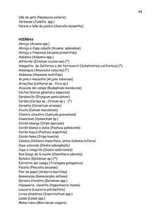 44
Uña de gato (Nassauvia axilaris)
Verbenas (Junellia spp.)
Yareta o leña de piedra (Azorella monantha)
HIERBAS
Abrojo (Acaena spp.)
Abrojo o Cepa caballo (Acaena splendens)
Abrojo o Pimpinela (Acaena pinnatifida)
Adesmia (Adesmia spp.)
Alfilerillo (Erodium cicutarium) (*)
Amapolita de California o del ferrocarril (Scholtchtzia californica) (*)
Amsinquia (Amsinckia calycina) (*)
Anémona (Anemone multifida)
Arjona o macachín (Arjona tuberosa)
Arvejillas (Lathyrus sp., Vicia sp.)
Azucena del campo (Rodophiala mendocina)
Cactus (Varios géneros y especies)
Cardoncillo (Eryngium paniculatum)
Cardos (Cardus sp.; Cirsium sp.) (*)
Cerastio (Cerastium arvense)
Cicuta (Conium maculatum)
Cilantro silvestre (Sanicula graveolens)
Cinanchum (Cynanchum sp.)
Coirón amargo (Stipa speciosa)
Coirón blanco o dulce (Festuca pallescens)
Coirón huecú (Festuca argentina)
Coirón llama (Stipa humilis)
Colomia (Collomia linearifolia, antes Collomia biflora)
Cuye colorado (Oxalis adenophylla)
Cuye o vinagrillo (Oxalis valdiviensis)
Don Diego de la noche (Oenothera odorata)
Epilobio (Epilobium sp.) (*)
Estrellita del campo (Tristagma patagonica)
Facelia (Phacellia secunda)
Flor de papel (Armeria marítima)
Gamocarpa (Gamocarpha selliana)
Geranio silvestre (Geranium spp.)
Hipoqueris, clavelito (Hypochoeris incana)
Leuceria (Leuceria achilaefolia)
Lirios silvestres (Sisyrrinchium spp.)
Loasa (Loasa spp.)
Malva rubia (Marrubium vulgare)
 