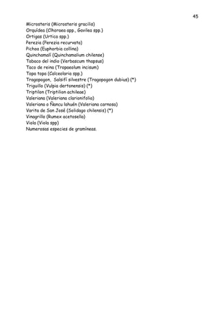45
Microsteris (Microsteris gracilis)
Orquídea (Clhoraea app., Gavilea spp.)
Ortigas (Urtica spp.)
Perezia (Perezia recurvata)
Pichoa (Euphorbia collina)
Quinchamalí (Quinchamalium chilense)
Tabaco del indio (Verbascum thapsus)
Taco de reina (Tropaeolum incisum)
Topa topa (Calceolaria spp.)
Tragopogon, Salsifí silvestre (Tragopogon dubius) (*)
Triguillo (Vulpia dertonensis) (*)
Triptilon (Triptilion achileae)
Valeriana (Valeriana clarionifolia)
Valeriana o Ñancu lahuén (Valeriana carnosa)
Varita de San José (Solidago chilensis) (*)
Vinagrillo (Rumex acetosella)
Viola (Viola spp)
Numerosas especies de gramíneas.
 