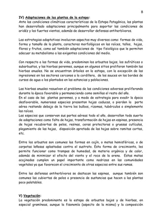 8
IV) Adaptaciones de las plantas de la estepa:
Ante las condiciones climáticas características de la Estepa Patagónica, las plantas
han desarrollado adaptaciones principalmente para soportar las condiciones de
aridéz y los fuertes vientos, además de desarrollar defensas antiherbívoros.
Las estrategias adaptativas involucran aspectos muy diversos como: formas de vida,
forma y tamaño de la planta, caracteres morfológicos en las raíces, tallos, hojas,
flores y frutos, como así también adaptaciones de tipo fisiológico que le permiten
adecuar su metabolismo a las exigentes condiciones del medio.
Con respecto a las formas de vida, predominan los arbustos bajos, los sufrútices o
subarbustos, y las hierbas perennes, aunque en algunos sitios proliferan también las
hierbas anuales. No se encuentran árboles en la estepa, con la excepción de las
ingresiones en los sectores cercanos a la cordillera, de los sauces en los bordes de
cursos de agua o los plantados en las estancias y poblaciones.
Las hierbas anuales resuelven el problema de las condiciones adversas proliferando
durante la época favorable y permaneciendo como semillas el resto del año.
En el caso de las plantas perennes, y a modo de estrategia para evadir la época
desfavorable, numerosas especies presentan hojas caducas, o pierden la parte
aérea restando debajo de la tierra los bulbos, rizomas, tubérculos o simplemente
las raíces.
Las especies que conservan sus partes aéreas todo el año, desarrollan toda suerte
de adaptaciones como falta de hojas, transformación de hojas en espinas, presencia
de hojas recubiertas de pelos, resinas, ceras protectoras o gruesas cutículas,
plegamiento de las hojas, disposición apretada de las hojas sobre ramitas cortas,
etc.
Entre los arbustos son comunes las formas en cojín, o matas hemisféricas, o de
carpetas leñosas aplastadas contra el sustrato. Esta forma de crecimiento, les
permite funcionar como trampas de humedad, de materia orgánica y de calor,
además de minimizar el efecto del viento y el roce de la arena. Estas matas
acojinadas cumplen un papel importante como nodrizas en las comunidades
vegetales ya que favorecen el crecimiento de otras especies entre sus ramas.
Entre las defensas antiherbívoros se destacan las espinas, aunque también son
comunes las cubiertas de pelos o presencia de sustancias que hacen a las plantas
poco palatables.
V) Vegetación:
La vegetación predominante es la estepa de arbustos bajos y de hierbas, en
especial gramíneas, aunque la fisonomía (aspecto de la misma) y la composición
 