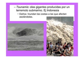 – Tsunamis: olas gigantes producidas por un
  terremoto submarino. Ej Indonesia
  • Daños: Inundan las costas a las que afectan
    asolándolas.
 