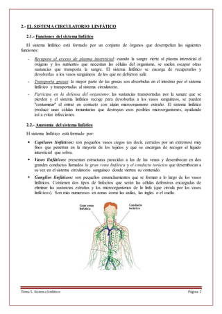 Tema 5. Sistema linfático Página 2
2.- EL SISTEMA CIRCULATORIO LINFÁTICO
2.1.- Funciones del sistema linfático
El sistema linfático está formado por un conjunto de órganos que desempeñan las siguientes
funciones:
- Recupera el exceso de plasma intersticial: cuando la sangre vierte al plasma intersticial el
oxígeno y los nutrientes que necesitan las células del organismo, se suelen escapar otras
sustancias que transporta la sangre. El sistema linfático se encarga de recuperarlas y
devolverlas a los vasos sanguíneos de los que no debieron salir.
- Transporta grasas: la mayor parte de las grasas son absorbidas en el intestino por el sistema
linfático y transportadas al sistema circulatorio.
- Participa en la defensa del organismo: las sustancias transportadas por la sangre que se
pierden y el sistema linfático recoge para devolverlas a los vasos sanguíneos, se pueden
"contaminar" al entrar en contacto con algún microorganismo extraño. El sistema linfático
produce unas células inmunitarias que destruyen esos posibles microorganismos, ayudando
así a evitar infecciones.
2.2.- Anatomía del sistema linfático
El sistema linfático está formado por:
 Capilares linfáticos: son pequeños vasos ciegos (es decir, cerrados por un extremos) muy
finos que penetran en la mayoría de los tejidos y que se encargan de recoger el líquido
intersticial que sobra.
 Vasos linfáticos: presentan estructuras parecidas a las de las venas y desembocan en dos
grandes conductos llamados la gran vena linfática y el conducto torácico que desembocan a
su vez en el sistema circulatorio sanguíneo donde vierten su contenido.
 Ganglios linfáticos: son pequeños ensanchamientos que se forman a lo largo de los vasos
linfáticos. Contienen dos tipos de linfocitos que serán las células defensivas encargadas de
eliminar las sustancias extrañas y los microorganismos de la linfa (que circula por los vasos
linfáticos). Son más numerosos en zonas como las axilas, las ingles o el cuello.
 