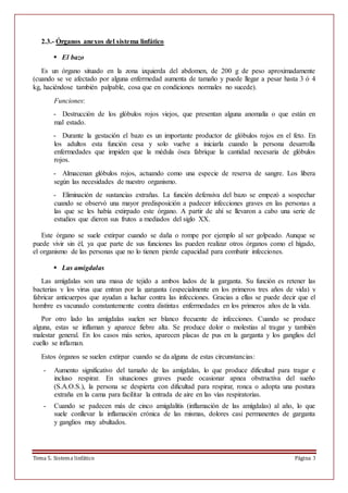 Tema 5. Sistema linfático Página 3
2.3.- Órganos anexos del sistema linfático
 El bazo
Es un órgano situado en la zona izquierda del abdomen, de 200 g de peso aproximadamente
(cuando se ve afectado por alguna enfermedad aumenta de tamaño y puede llegar a pesar hasta 3 ó 4
kg, haciéndose también palpable, cosa que en condiciones normales no sucede).
Funciones:
- Destrucción de los glóbulos rojos viejos, que presentan alguna anomalía o que están en
mal estado.
- Durante la gestación el bazo es un importante productor de glóbulos rojos en el feto. En
los adultos esta función cesa y solo vuelve a iniciarla cuando la persona desarrolla
enfermedades que impiden que la médula ósea fabrique la cantidad necesaria de glóbulos
rojos.
- Almacenan glóbulos rojos, actuando como una especie de reserva de sangre. Los libera
según las necesidades de nuestro organismo.
- Eliminación de sustancias extrañas. La función defensiva del bazo se empezó a sospechar
cuando se observó una mayor predisposición a padecer infecciones graves en las personas a
las que se les había extirpado este órgano. A partir de ahí se llevaron a cabo una serie de
estudios que dieron sus frutos a mediados del siglo XX.
Este órgano se suele extirpar cuando se daña o rompe por ejemplo al ser golpeado. Aunque se
puede vivir sin él, ya que parte de sus funciones las pueden realizar otros órganos como el hígado,
el organismo de las personas que no lo tienen pierde capacidad para combatir infecciones.
 Las amígdalas
Las amígdalas son una masa de tejido a ambos lados de la garganta. Su función es retener las
bacterias y los virus que entran por la garganta (especialmente en los primeros tres años de vida) y
fabricar anticuerpos que ayudan a luchar contra las infecciones. Gracias a ellas se puede decir que el
hombre es vacunado constantemente contra distintas enfermedades en los primeros años de la vida.
Por otro lado las amígdalas suelen ser blanco frecuente de infecciones. Cuando se produce
alguna, estas se inflaman y aparece fiebre alta. Se produce dolor o molestias al tragar y también
malestar general. En los casos más serios, aparecen placas de pus en la garganta y los ganglios del
cuello se inflaman.
Estos órganos se suelen extirpar cuando se da alguna de estas circunstancias:
- Aumento significativo del tamaño de las amígdalas, lo que produce dificultad para tragar e
incluso respirar. En situaciones graves puede ocasionar apnea obstructiva del sueño
(S.A.O.S.), la persona se despierta con dificultad para respirar, ronca o adopta una postura
extraña en la cama para facilitar la entrada de aire en las vías respiratorias.
- Cuando se padecen más de cinco amigdalitis (inflamación de las amígdalas) al año, lo que
suele conllevar la inflamación crónica de las mismas, dolores casi permanentes de garganta
y ganglios muy abultados.
 