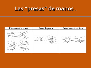 Las “presas” de manos . 