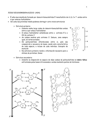 4


ÁCIDO DESOXIRRIBONUCLEICO (ADN)

• É unha macromolécula formada por desoxirribonucleótidos 5´monofosfato de A, G, C e T unidos entre
  si por enlaces fosfodiéster.
• Así coma nas proteínas tamén podemos distinguir catro niveis estruturais

       • Estrutura primaria:
             • Consiste nunha larga cadea de desoxirribonucleótidos unidos
                entre si por enlace fosfodiéster.
             • O enlace fosfodiéster establécese entre o extremo 5´e o
                OH do carbono 3´
             • As cadeas medran polo extremo 3’. Debuxo, zona sempre
                igual, só varían as bases.
             • Os polinucleótidos diferéncianse entre si, pola súa
                composición e secuencia de bases, sendo esta característica
                de cada especie, e incluso de cada individuo. Concepto de
                mutación
             • Na estrutura primaria reside a información necesaria para a
                síntese de proteínas. Xenes

       • Estrutura secundaria:
             • Consiste na disposición no espacio de dúas cadeas de polinucleótidos en dobre hélice
                enfrontadas polas bases nitroxenadas e unidas mediante pontes de hidróxeno
 