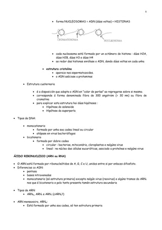6


                              • forma NUCLEOSOMAS = ADN (dúas voltas) + HISTONAS




                              • cada nucleosoma está formado por un octámero de histona : dúas H2A,
                                dúas H2B, dúas H3 e dúas H4
                              • ao redor das histonas enrólase o ADN, dando dúas voltas en cada unha

                      • estrutura cristalina
                            • aparece nos espermatozoides.
                            • o ADN asóciase a protaminas

       • Estrutura cuaternaria

              • é a disposición que adopta o ADN en “colar de perlas” ao repregarse sobre si mesmo.
              • corresponde á forma denominada fibra de 300 angström (= 30 nm) ou fibra de
                cromatina
              • para explicar esta estrutura hai dúas hipóteses :
                     • Hipótese do solenoide
                     • Hipótese da superperla

• Tipos de DNA:

       • monocatenario
              • formado por unha soa cadea lineal ou circular
              • atópase en virus bacteriófagos
       • bicatenario
              • formado por dobre cadea
                     • circular : bacterias, mitocondria, cloroplastos e nalgúns virus
                     • lineal : no núcleo das células eucarióticas, asociado a proteínas e nalgúns virus

ÁCIDO RIBONUCLEICO (ARN ou RNA)

• O ARN está formado por ribonucleótidos de A, G, C e U, unidos entre si por enlaces difosfato.
• Diferencias co ADN:
      • pentosa
      • bases nitroxenadas
      • monocatanario (só estrutura primaria) excepto nalgún virus (reovirus) e algúns tramos do ARNt
         nos que é bicatenario e polo tanto presenta tamén estrutura secundaria

• Tipos de ARN:
      • ARNm, ARNt e ARNr (¿ARNn?)

• ARN mensaxeiro, ARNm:
     • Está formado por unha soa cadea, só ten estrutura primaria
 