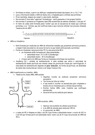 7


      •   Orixínase no núcleo, a partir do ADN por complementariedade das bases ( A-U, C-G, T-A)
      •   Leva a información desde o ADN do núcleo ata o citoplasma para a síntese das proteínas
      •   É moi inestable, despois de cumprir a súa misión, desfaise.
      •   No extremo 5´leva unha “caperuza” formada por : metil-guanosina e tres grupos fosfato.
      •   No extremo 3´presenta un fragmento duns 200 nucleótidos de adenina chamada a “cola poli-A”
      •   O resto da cadea está formada polos “exóns” que son as secuencias de bases que codifican
          proteínas, e os “intróns, que non codifican nada e que é preciso eliminar nun proceso chamada
          “maduración do ARN”




• ARNr ou ribosómico

      • Está formado por moléculas de ARN de diferentes tamaños que presentan estrutura primaria,
        e nalgún tramo secundaria e ás veces terciaria xa que tamén está asociado a proteínas.
      • Forma os ribosomas, nas procariotas 70 S e nas eucariotas 80 S
             • os ribosomas están formados por dúas subunidades,
                    • subunidade maior, 5 S e 28 S (Svedbergs)
                    • subunidade menor, 18 S (Svedbergs)
             • A maior parte do ARN que forma os ribosomas sintetízase nos nucléolos.
      • Svedberg (S) = unidade de sedimentación, é unha unidade que indica a velocidade de
        sedimentación dunha partícula nun intenso campo de gravitación creado por centrifugación. A
        velocidade de sedimentación depende do peso molecular, da forma da partícula, da densidade
        do medio das revolucións por minuto e do tempo transcorrido.

• ARN transferente ou transfer, ARNt:
     • Tamén se lle chama ARNs ARN soluble
                                      • Algunhas rexións da molécula presentan estrutura
                                         secundaria
                                      • Ten forma de folla de trébol
                                      • A súa misión é recoller os aminoácidos polo citoplasma e
                                         levalos ata os ribosomas para a síntese das proteínas.
                                      • Existen tantos ARNt como tripletes que codifiquen
                                         aminoácidos.
                                      • Características da molécula polo debuxo




                                   • ARN nucleolar, ARNn:

                                        • Aparece nos nucléolos da células eucarióticas
                                        • é un ARN de elevado peso molecular (45 S)
                                        • é o precursor do ARNr
      • a cadea de 45 S rómpese en dúas, a de 18 S que forma a subunidade menor, e outra de 28 S e
        a de 5,8 que forman parte da subunidade maior xunto coa de 5 S que non procede do ARN de
        45 S.
 