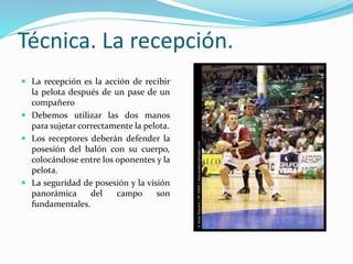 Técnica. La recepción.
 La recepción es la acción de recibir
la pelota después de un pase de un
compañero
 Debemos utilizar las dos manos
para sujetar correctamente la pelota.
 Los receptores deberán defender la
posesión del balón con su cuerpo,
colocándose entre los oponentes y la
pelota.
 La seguridad de posesión y la visión
panorámica del campo son
fundamentales.
 