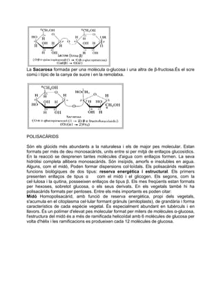 La Sacarosa formada per una molècula α-glucosa i una altra de β-fructosa.És el scre
comú i típic de la canya de sucre i en la remolatxa.
POLISACÀRIDS
Són els glúcids més abundants a la naturalesa i els de major pes molecular. Estan
formats per més de deu monosacàrids, units entre si per mitjà de enllaços glucosídics.
En la reacció se desprenen tantes molècules d'aigua com enllaços formen. La seva
hidròlisi completa allibera monosacàrids. Són insípids, amorfs e insolubles en aigua.
Alguns, com el midó, Poden formar dispersions col·loïdals. Els polisacàrids realitzen
funcions biològiques de dos tipus: reserva energètica i estructural. Els primers
presenten enllaços de tipus α com el midó i el glicogen. Els segons, com la
cel·lulosa i la quitina, posseeixen enllaços de tipus β. Els mes freqüents estan formats
per hexoses, sobretot glucosa, o els seus derivats. En els vegetals també hi ha
polisacàrids formats per pentoses. Entre els més importants es poden citar:
Midó Homopolisacàrid, amb funció de reserva energètica, propi dels vegetals,
s'acumula en el citoplasma cel·lular formant grànuls (amiloplasts), de grandària i forma
característics de cada espècie vegetal. És especialment abundant en tubèrculs i en
llavors. És un polímer d'elevat pes molecular format per milers de molècules α-glucosa,
l'estructura del midó és a més de ramificada helicoïdal amb 6 molècules de glucosa per
volta d'hèlix i les ramificacions es produeixen cada 12 molècules de glucosa.
 