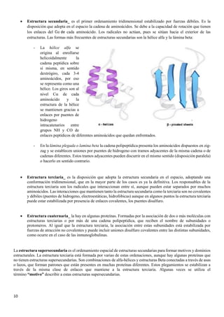 10
• Estructura secundaria_ es el primer ordenamiento tridimensional estabilizado por fuerzas débiles. Es la
disposición que adopta en el espacio la cadena de aminoácidos. Se debe a la capacidad de rotación que tienen
los enlaces del C de cada aminoácido. Los radicales no actúan, pues se sitúan hacia el exterior de las
estructuras. Las formas más frecuentes de estructuras secundarias son la hélice alfa y la lámina beta:
- La hélice alfa se
origina al enrollarse
helicoidalmente la
cadena peptídica sobre
sí misma, en sentido
dextrógiro, cada 3-4
aminoácidos, por eso
se representa como una
hélice. Los giros son al
nivel C de cada
aminoácido y la
estructura de la hélice
se mantienen gracias a
enlaces por puentes de
hidrogeno
intracatenarios entre
grupos NH y CO de
enlaces peptídicos de diferentes aminoácidos que quedan enfrentados.
- En la lámina plegada o lamina beta la cadena polipeptídica presenta los aminoácidos dispuestos en zig-
zag y se establecen uniones por puentes de hidrogeno con tramos adyacentes de la misma cadena o de
cadenas diferentes. Estos tramos adyacentes pueden discurrir en el mismo sentido (disposición paralela)
o hacerlo en sentido contrario.
• Estructura terciaria_ es la disposición que adopta la estructura secundaria en el espacio, adoptando una
conformación tridimensional, que en la mayor parte de los casos es ya la definitiva. Los responsables de la
estructura terciaria son los radicales que interaccionan entre sí, aunque pueden estar separados por muchos
aminoácidos. Las interacciones que mantienen tanto la estructura secundaria como la terciaria son no covalentes
y débiles (puentes de hidrogeno, electroestáticas, hidrofóbicas) aunque en algunos puntos la estructura terciaria
puede estar estabilizada por presencia de enlaces covalentes, los puentes disulfuro.
• Estructura cuaternaria_ la hay en algunas proteínas. Formadas por la asociación de dos o más moléculas con
estructuras terciarias o por más de una cadena polipeptídica, que reciben el nombre de subunidades o
protomeros. Al igual que la estructura terciaria, la asociación entre estas subunidades está estabilizada por
fuerzas de atracción no covalentes y puede incluir uniones disulfuro covalentes entre las distintas subunidades,
como ocurre en el caso de las inmunoglobulinas.
La estructura supersecundaria es el ordenamiento espacial de estructuras secundarias para formar motivos y dominios
estructurales. La estructura terciaria está formada por varias de estas ordenaciones, aunque hay algunas proteínas que
no tienen estructuras supersecundarias. Son combinaciones de alfa-hélices y estructuras Beta conectadas a través de asas
o lazos, que forman patrones que están presentes en muchas proteínas diferentes. Estos plegamientos se estabilizan a
través de la misma clase de enlaces que mantiene a la estructura terciaria. Algunas veces se utiliza el
término “motivo” describir a estas estructuras supersecundarias.
 