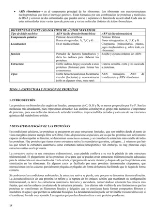 14
• ARN ribosómico→ es el componente principal de los ribosomas. Los ribosomas son macroestructuras
nucleoproteínas que leen el mensaje genético. Están formadas por una combinación de proteínas y moléculas
de RNA y constan de dos subunidades que pueden unirse o separarse en función de su actividad. Cada una de
estas subunidades tiene varios tipos de proteínas y varias moléculas distintas de ácido ribonucleico.
DIFERENCIAS ENTRE LOS DOS TIPOS DE ÁCIDOS NUCLEICOS
Tipo de ácido nucleico ADN (ácido desoxirribonucleico) ARN (ácido ribonucleico)
Composición química Pentosa: desoxirribosa
Bases nitrogenadas: A, T, C y G
Pentosa: Ribosa
Bases nitrogenadas: A, U, C y G
Localización En el núcleo celular. Citoplasma (mitocondrias, plastos,
jugo citoplasmático y, sobre todo, en
ribosomas)
función Portador de factores hereditarios y
dicta las órdenes para elaborar las
proteínas.
Recibe y ejecuta órdenes del ADN
Estructura Doble cadena, larga y asociada a unas
proteínas (histonas) para formar los
cromosomas.
Cadena sencilla, corta y no asociada
a proteínas.
Tipos Doble hélice (eucariotas), bicatenario
circular (bacterias) y monocatenario
(sólo en algunos virus, muy raro)
ARN mensajero, ARN de
transferencia y ARN ribosómico.
TEMA 3: ESTRUCTURA Y FUNCIÓN DE PROTEÍNAS
1. INTRODUCCIÓN
Las proteínas son biomoléculas orgánicas lineales, compuestas de C, O, H y N; en menor proporción por S y P. Son las
moléculas más abundantes, pues representan alrededor. Las enzimas constituyen el grupo más numeroso e importante
de proteínas, pues son moléculas dotadas de actividad catalítica, imprescindibles en todas y cada una de las reacciones
químicas del metabolismo celular.
2.DESNATURALIZACIÓN DE LAS PROTEÍNAS
En condiciones celulares, lar proteínas se encuentran en unas estructuras limitadas, que son estables desde el punto de
vista energético (menor energía libre de Gibbs). Estas disposiciones espaciales, en las que las proteínas son activamente
capaces de desempeñar su función, se denominan estructuras nativas, y se considera la estructura más estable de todas
las proteínas. Hay proteína que tienen como estructura nativa la secundaria (queratina, colágeno…) mientras que hay
las que tienen la estructura cuaternaria como estructura nativa(hemoglobina). Sin embargo, no hay proteínas cuya
estructura nativa sea la primaria.
La estructura nativa es una estructura tridimensional, cuya pérdida conlleva a su vez la pérdida de esta estructura
tridimensional. El plegamiento de las proteínas sirve para que se puedan crear estructuras tridimensionales adecuadas
para la interacción con otras moléculas. En la célula, el plegamiento ocurre durante y después de que las proteínas sean
sintetizadas en los ribosomas. En algunos casos es facilitado por unas proteínas denominadas chaperonas, que
interaccionan con las cadenas parcialmente plegadas o plegadas de forma defectuosa facilitando que lo hagan de forma
correcta.
Si cambiamos las condiciones ambientales, la estructura nativa se pierde, este proceso se denomina desnaturalización.
La desnaturalización de una proteína se refiere a la ruptura de los enlaces débiles que mantienen su configuración
tridimensional, es decir, las estructuras cuaternaria, terciaria y secundaria, conservándose solamente los enlaces más
fuertes, que son los enlaces covalentes de la estructura primaria. Los efectos más visibles de este fenómeno es que las
proteínas se transforman en filamentos lineales y delgados que se entrelazan hasta formar compuestos fibrosos e
insolubles en agua y que pierden su actividad biológica. La desnaturalización puede ser reversible (renaturalización) si
el cambio no ha sido muy acusado. Los agentes que pueden desnaturalizar a una proteína pueden ser:
 