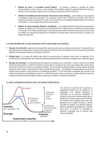 16
▪ Modelo de Llave y Cerradura (Emil Fischer) _ el sustrato y enzima se acoplan de forma
estereospecífica, como la llave a una cerradura. Este modelo explica la especificidad entre enzima y
sustrato, pero no permite explicar cómo se produce la reacción de forma eficiente.
▪ Modelo de Estabilización del Estado de Transición (Linus Pauling) _ este modelo es el que propone
el verdadero encaje llave-cerradura. Este encaje no ocurría entre el sustrato y la enzima, sino entre el
estado de transición y la enzima. Por tanto, el centro activo es en realidad complementario no al sustrato
o al producto, sino al estado de transición entre ambos.
▪ Modelo de ajuste inducido (Daniel E. Koshland) _ este modelo postula un mecanismo que permite
explicar el aumento de la eficacia de las interacciones no covalentes que se establecen entre la enzima
y el sustrato. Este modelo propone que la interacción entre ambas moléculas hace que la enzima sufra
un cambio de estructura que permite la formación de interacciones adicionales entre la enzima y el
estado de transición.
3.3.PARAMETROS DE LAS REACCIONES AFECTADAS POR LAS ENZIMAS
▪ Energía de activación: representa la energía libre necesaria para que se produzca la reacción. Corresponde a la
diferencia entre la energía libre existente en el estado de transición y la del estado basal.Es la energía libre que debe
adquirir el sistema para alcanzar el estado de transición.
▪ Estado basal: es el punto de partida tanto para la reacción hacia la derecha como hacia la izquierda. Es la
contribución a la energia libre del sistema de una molécula promedio (S o P) bajo un conjunto de conficiones dadas.
▪ Energía de transición: La transformación del sustrato en producto no es inmediata y ocurre a través de un estado
transitorio denominado el estado de transición. Este estado se caracteriza por tener una energía libre mayor que la
del estadio inicial, por lo que es un complejo inestable. Es un momento molecular fugaz en el que pueden sucerder
diferentes cosas (rotura o formación de enlaces, desarrollo de cargas…) han llegado al instante preciso en el que el
colpaso hacia sustrato o hacia producto es igualmente probable. En las reacciones catalizadas por enzimas, este
estado de transición es estabilizado por por los residuos del centro activo, con lo que consigue acelerar la reacción
mediante la formación del complejo enzima-sustrato que estabiliza el estado de transición.
3.4. MECANISMOS GENERALES DE CATALISIS ENZIMÁTICAS
Con enzima la reacción de la glucosa es
espontánea mientras que sin enzima no es
espontanea. Los enzimas aumentan la
velocidad de la reacción rebajando la
energía de activación necesaria para que se
produzca la reacción química. Sin embargo,
no modifican ΔG (energía libre), que sólo
depende de los estados iniciales y finales
(variable de estado). Las enzimas tampoco
alteran el equilibrio de productos y sustratos
(Keq) pero, al acelerar la velocidad de
reacción, consiguen que se alcance más
radio el equilibrio.
 