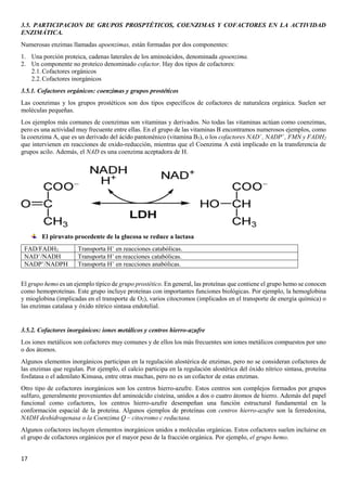 17
3.5. PARTICIPACION DE GRUPOS PROSPTÉTICOS, COENZIMAS Y COFACTORES EN LA ACTIVIDAD
ENZIMÁTICA.
Numerosas enzimas llamadas apoenzimas, están formadas por dos componentes:
1. Una porción proteica, cadenas laterales de los aminoácidos, denominada apoenzima.
2. Un componente no proteico denominado cofactor. Hay dos tipos de cofactores:
2.1.Cofactores orgánicos
2.2.Cofactores inorgánicos
3.5.1. Cofactores orgánicos: coenzimas y grupos prostéticos
Las coenzimas y los grupos prostéticos son dos tipos específicos de cofactores de naturaleza orgánica. Suelen ser
moléculas pequeñas.
Los ejemplos más comunes de coenzimas son vitaminas y derivados. No todas las vitaminas actúan como coenzimas,
pero es una actividad muy frecuente entre ellas. En el grupo de las vitaminas B encontramos numerosos ejemplos, como
la coenzima A, que es un derivado del ácido pantonénico (vitamina B5), o los cofactores NAD+
, NADP+
, FMN y FADH2
que intervienen en reacciones de oxido-reducción, mientras que el Coenzima A está implicado en la transferencia de
grupos acilo. Además, el NAD es una coenzima aceptadora de H.
El piruvato procedente de la glucosa se reduce a lactasa
FAD/FADH2 Transporta H+
en reacciones catabólicas.
NAD+
/NADH Transporta H+
en reacciones catabólicas.
NADP+
/NADPH Transporta H+
en reacciones anabólicas.
El grupo hemo es un ejemplo típico de grupo prostético. En general, las proteínas que contiene el grupo hemo se conocen
como hemoproteínas. Este grupo incluye proteínas con importantes funciones biológicas. Por ejemplo, la hemoglobina
y mioglobina (implicadas en el transporte de O2), varios citocromos (implicados en el transporte de energía química) o
las enzimas catalasa y óxido nítrico sintasa endotelial.
3.5.2. Cofactores inorgánicos: iones metálicos y centros hierro-azufre
Los iones metálicos son cofactores muy comunes y de ellos los más frecuentes son iones metálicos compuestos por uno
o dos átomos.
Algunos elementos inorgánicos participan en la regulación alostérica de enzimas, pero no se consideran cofactores de
las enzimas que regulan. Por ejemplo, el calcio participa en la regulación alostérica del óxido nítrico sintasa, proteína
fosfatasa o el adenilato Kinsasa, entre otras muchas, pero no es un cofactor de estas enzimas.
Otro tipo de cofactores inorgánicos son los centros hierro-azufre. Estos centros son complejos formados por grupos
sulfuro, generalmente provenientes del aminoácido cisteína, unidos a dos o cuatro átomos de hierro. Además del papel
funcional como cofactores, los centros hierro-azufre desempeñan una función estructural fundamental en la
conformación espacial de la proteína. Algunos ejemplos de proteínas con centros hierro-azufre son la ferredoxina,
NADH deshidrogenasa o la Coenzima Q – citocromo c reductasa.
Algunos cofactores incluyen elementos inorgánicos unidos a moléculas orgánicas. Estos cofactores suelen incluirse en
el grupo de cofactores orgánicos por el mayor peso de la fracción orgánica. Por ejemplo, el grupo hemo.
 