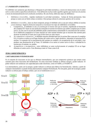 20
3.7. INHIBICIÓN ENZIMÁTICA
Un inhibidor son sustancias que disminuye o bloquean la actividad enzimática, a través de interacciones con el centro
activo u otros centros específicos (alostéricos). Esta definición excluye todos aquellos agentes que inactivan a la enzima
a través de desnaturalización de la molécula enzimática. De esta forma, habrá dos tipos de inhibidores:
I. Inhibidores irreversibles_ impiden totalmente la actividad enzimática. Actúan de forma permanente, bien
porque se unen con un fuerte enlace covalente o bien porque alteran la estructura química de la enzima
II. Inhibidores reversibles_ tiene un efecto temporal, porque el inhibidor solo se une por enlaces débiles al enzima
y no lo destruye. Según la forma de actuación se reconocen tres tipos de inhibidores reversibles:
i. Competitivos_ el inhibidor se une a la enzima por el mismo sitio que el sustrato, impidiendo la formación
del complejo ES. Suele ser una molécula semejante al sustrato de maneras que ambos compiten por el centro
activo; en este caso la acción del inhibidor puede contrarrestarse aumentando la concentración del sustrato.
En la inhibición competitiva la Vmax muestra un valor normal mientras que se necesita más sustrato para
alcanzar la mitad de la Vmax por lo que la Km tiene un valor mayor.
ii. No competitivos o alostéricos_ el inhibidor muestra afinidad tanto por la enzima libre como por el complejo
ES y la unión se realiza en un lugar distinto del centro activo, lugar alostérico, alterando la estructura de la
enzima. Un aumento de la concentración del sustrato no conduce a la recuperación de la actividad y esto
produce una disminución de la Vmax. El inhibidor al no unirse al centro activo la Km, o afinidad de la
enzima por el sustrato, no cambia.
iii. Acompetitivos o incompetitivos_ estos inhibidores se unen exclusivamente al complejo ES en un lugar
diferente al centro activo. Esto disminuye tanto la Vmax como la K
TEMA 5-BIOENÉRGETICA
1.METABOLISMO INTERMEDIARIO
Es el conjunto de reacciones en las que se obtienen intermediarios, que son compuestos químicos que actúan como
sustratos para otras reacciones del metabolismo. En estas reacciones también se obtiene energía y poder reductor. El
poder reductor son sustancias con capacidad para ceder electrones, como el FADH2 y el NADH+H+
.
Los intermediarios, junto con la energía y poder reductor se utilizan para fabrica las biomoléculas. Además, a partir de
cualquier intermediario se puede formar prácticamente cualquier biomolécula. Por otra parte, parte de la energía y poder
reductor se utilizar para el trabajo celular y por eso el rendimiento no es 1.
 