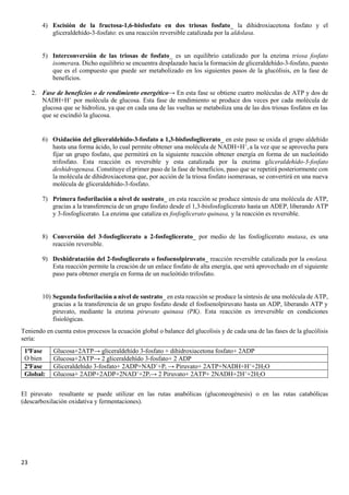 23
4) Escisión de la fructosa-1,6-bisfosfato en dos triosas fosfato_ la dihidroxiacetona fosfato y el
gliceraldehído-3-fosfato: es una reacción reversible catalizada por la aldolasa.
5) Interconversión de las triosas de fosfato_ es un equilibrio catalizado por la enzima triosa fosfato
isomerasa. Dicho equilibrio se encuentra desplazado hacia la formación de gliceraldehído-3-fosfato, puesto
que es el compuesto que puede ser metabolizado en los siguientes pasos de la glucólisis, en la fase de
beneficios.
2. Fase de beneficios o de rendimiento energético→ En esta fase se obtiene cuatro moléculas de ATP y dos de
NADH+H+
por molécula de glucosa. Esta fase de rendimiento se produce dos veces por cada molécula de
glucosa que se hidroliza, ya que en cada una de las vueltas se metaboliza una de las dos triosas fosfatos en las
que se escindió la glucosa.
6) Oxidación del gliceraldehído-3-fosfato a 1,3-bisfosfoglicerato_ en este paso se oxida el grupo aldehído
hasta una forma ácido, lo cual permite obtener una molécula de NADH+H+
, a la vez que se aprovecha para
fijar un grupo fosfato, que permitirá en la siguiente reacción obtener energía en forma de un nucleótido
trifosfato. Esta reacción es reversible y esta catalizada por la enzima gliceraldehído-3-fosfato
deshidrogenasa. Constituye el primer paso de la fase de beneficios, paso que se repetirá posteriormente con
la molécula de dihidroxiacetona que, por acción de la triosa fosfato isomerasas, se convertirá en una nueva
molécula de gliceraldehído-3-fosfato.
7) Primera fosforilación a nivel de sustrato_ en esta reacción se produce síntesis de una molécula de ATP,
gracias a la transferencia de un grupo fosfato desde el 1,3-bisfosfoglicerato hasta un ADEP, liberando ATP
y 3-fosfoglicerato. La enzima que cataliza es fosfoglicerato quinasa, y la reacción es reversible.
8) Conversión del 3-fosfoglicerato a 2-fosfoglicerato_ por medio de las fosfoglicerato mutasa, es una
reacción reversible.
9) Deshidratación del 2-fosfoglicerato o fosfoenolpiruvato_ reacción reversible catalizada por la enolasa.
Esta reacción permite la creación de un enlace fosfato de alta energía, que será aprovechado en el siguiente
paso para obtener energía en forma de un nucleótido trifosfato.
10) Segunda fosforilación a nivel de sustrato_ en esta reacción se produce la síntesis de una molécula de ATP,
gracias a la transferencia de un grupo fosfato desde el fosfoenolpiruvato hasta un ADP, liberando ATP y
piruvato, mediante la enzima piruvato quinasa (PK). Esta reacción es irreversible en condiciones
fisiológicas.
Teniendo en cuenta estos procesos la ecuación global o balance del glucolisis y de cada una de las fases de la glucólisis
sería:
1ªFase
O bien
Glucosa+2ATP→ gliceraldehído 3-fosfato + dihidroxiacetona fosfato+ 2ADP
Glucosa+2ATP→ 2 gliceraldehído 3-fosfato+ 2 ADP
2ªFase Gliceraldehído 3-fosfato+ 2ADP+NAD+
+Pi → Piruvato+ 2ATP+NADH+H+
+2H2O
Global: Glucosa+ 2ADP+2ADP+2NAD+
+2Pi→ 2 Piruvato+ 2ATP+ 2NADH+2H+
+2H2O
El piruvato resultante se puede utilizar en las rutas anabólicas (gluconeogénesis) o en las rutas catabólicas
(descarboxilación oxidativa y fermentaciones).
 