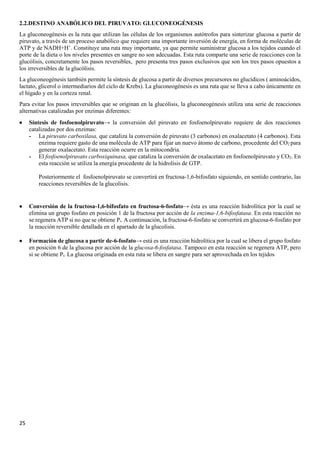 25
2.2.DESTINO ANABÓLICO DEL PIRUVATO: GLUCONEOGÉNESIS
La gluconeogénesis es la ruta que utilizan las células de los organismos autótrofos para sinterizar glucosa a partir de
piruvato, a través de un proceso anabólico que requiere una importante inversión de energía, en forma de moléculas de
ATP y de NADH+H+
. Constituye una ruta muy importante, ya que permite suministrar glucosa a los tejidos cuando el
porte de la dieta o los niveles presentes en sangre no son adecuadas. Esta ruta comparte una serie de reacciones con la
glucólisis, concretamente los pasos reversibles, pero presenta tres pasos exclusivos que son los tres pasos opuestos a
los irreversibles de la glucólisis.
La gluconeogénesis también permite la síntesis de glucosa a partir de diversos precursores no glucídicos ( aminoácidos,
lactato, glicerol o intermediarios del ciclo de Krebs). La gluconeogénesis es una ruta que se lleva a cabo únicamente en
el hígado y en la corteza renal.
Para evitar los pasos irreversibles que se originan en la glucólisis, la gluconeogénesis utiliza una serie de reacciones
alternativas catalizadas por enzimas diferentes:
• Síntesis de fosfoenolpiruvato→ la conversión del piruvato en fosfoenolpiruvato requiere de dos reacciones
catalizadas por dos enzimas:
- La piruvato carboxilasa, que cataliza la conversión de piruvato (3 carbonos) en oxalacetato (4 carbonos). Esta
enzima requiere gasto de una molécula de ATP para fijar un nuevo átomo de carbono, procedente del CO2 para
generar oxalacetato. Esta reacción ocurre en la mitocondria.
- El fosfoenolpiruvato carboxiquinasa, que cataliza la conversión de oxalacetato en fosfoenolpiruvato y CO2. En
esta reacción se utiliza la energía procedente de la hidrolisis de GTP.
Posteriormente el fosfoenolpiruvato se convertirá en fructosa-1,6-bifosfato siguiendo, en sentido contrario, las
reacciones reversibles de la glucolisis.
• Conversión de la fructosa-1,6-bifosfato en fructosa-6-fosfato→ ésta es una reacción hidrolítica por la cual se
elimina un grupo fosfato en posición 1 de la fructosa por acción de la enzima-1,6-bifosfatasa. En esta reacción no
se regenera ATP si no que se obtiene Pi. A continuación, la fructosa-6-fosfato se convertirá en glucosa-6-fosfato por
la reacción reversible detallada en el apartado de la glucolisis.
• Formación de glucosa a partir de-6-fosfato→ está es una reacción hidrolítica por la cual se libera el grupo fosfato
en posición 6 de la glucosa por acción de la glucosa-6-fosfatasa. Tampoco en esta reacción se regenera ATP, pero
si se obtiene Pi. La glucosa originada en esta ruta se libera en sangre para ser aprovechada en los tejidos
 